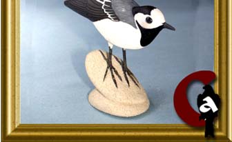 bergeronnette grise - Motacilla alba