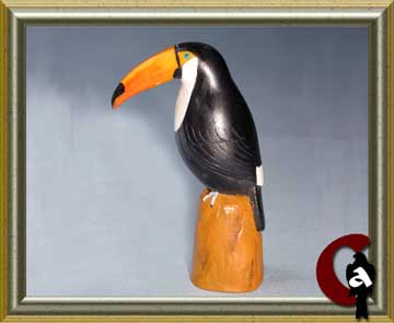 Toucan - Ramphastos toco