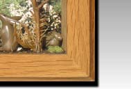 Moments of life - European rabbit