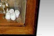 Moments of life - Common barn owl