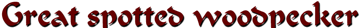 characteristic